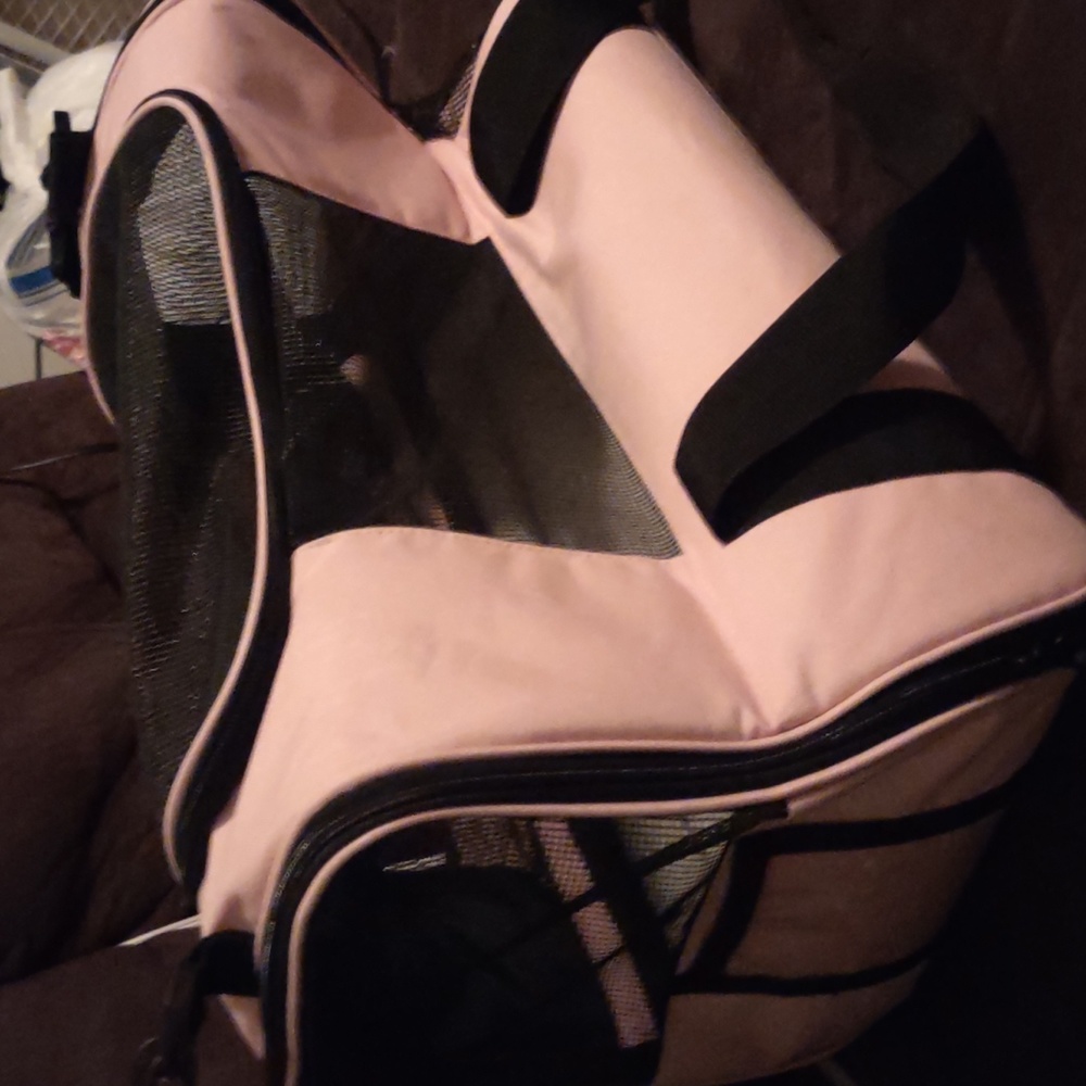 Small pet carrier